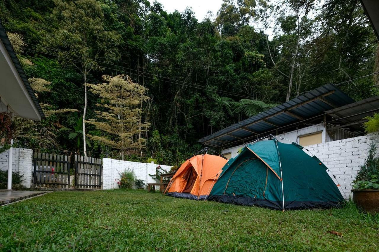 Tung's Factoria Cameron Highland
